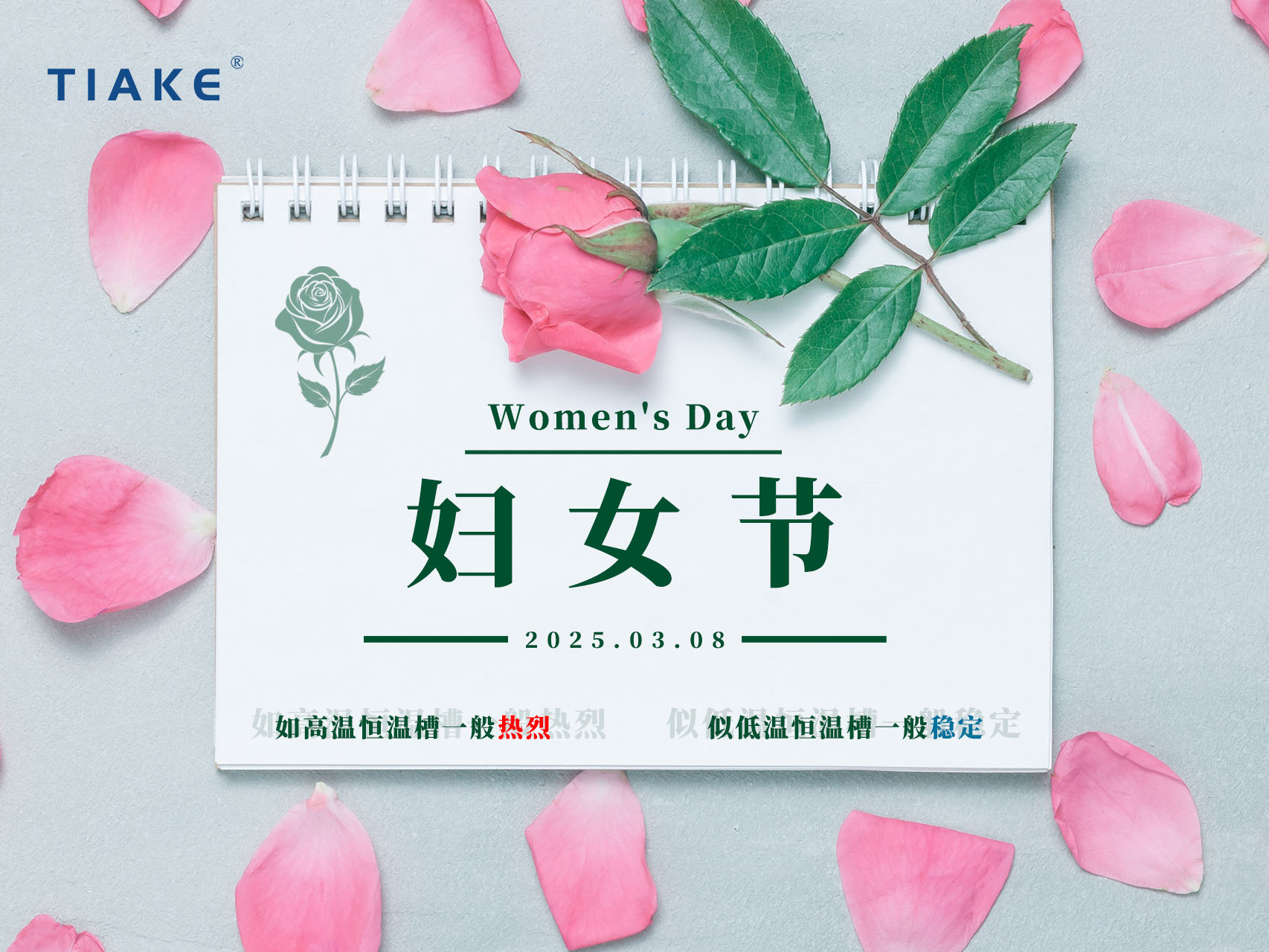 無需借光而行，我亦是星辰?！暇┨炜谱Ｋ信裕窆?jié)，做自己的大女主！